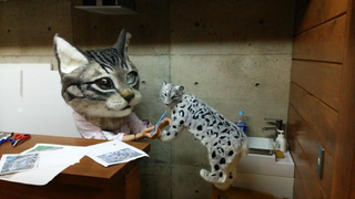 Illustration for article titled You Can Wear This Freaky Cat Head in Tokyo